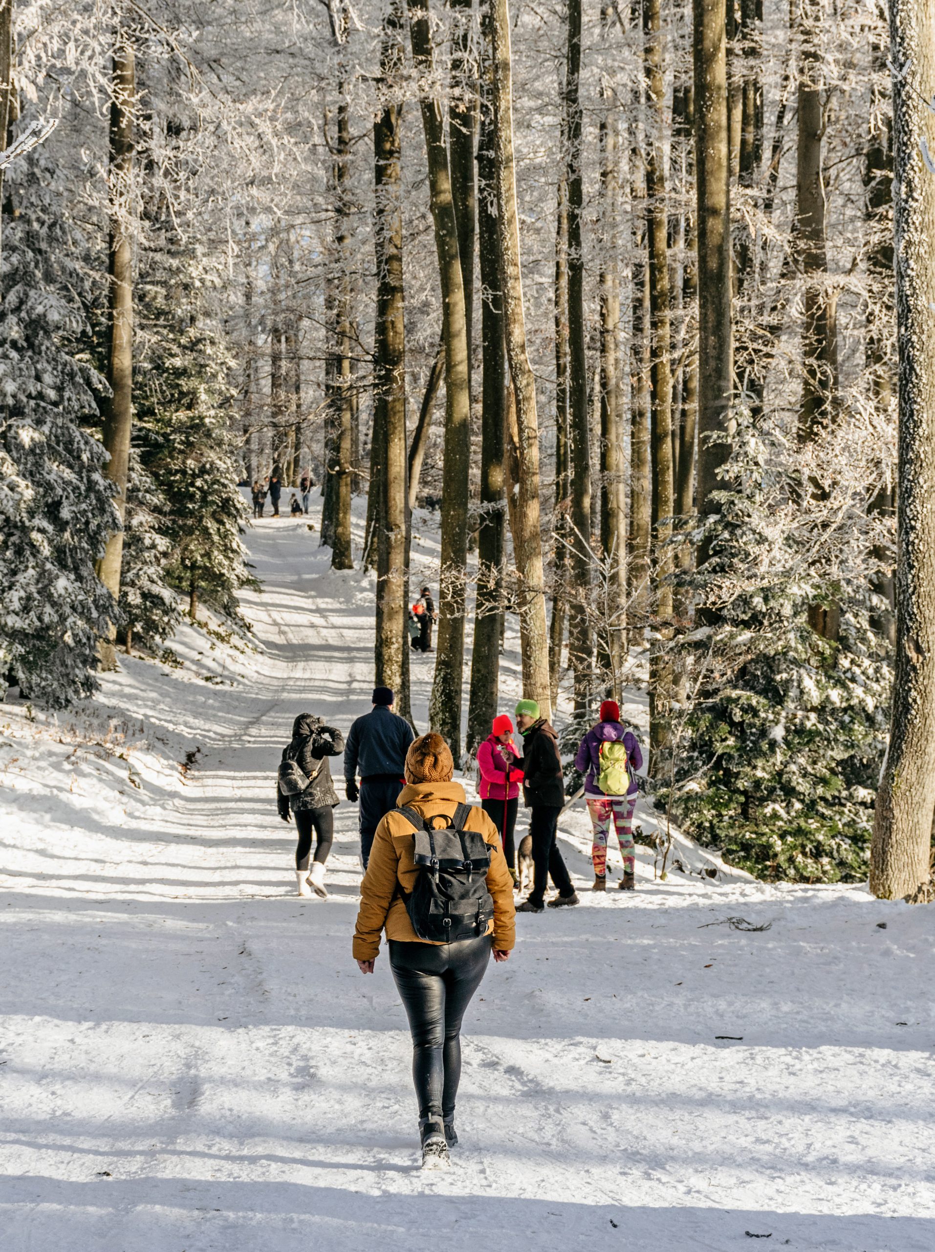 CREDIT PHOTO: https://lustinherworld.com/