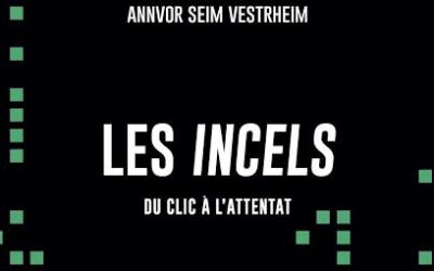 Comprendre les incels : de la solitude en ligne à la violence politique