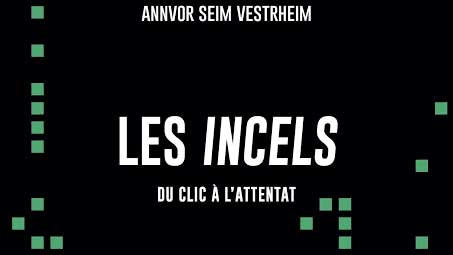 les-incels-16-9 CREDIT PHOTO: https://lustinherworld.com/